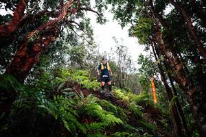 BIB: 
                            <button type="button" onclick="openModal(26205423)" class="btn btn-primary btn-sm float-right btn-popup" data-toggle="modal" data-target=".modal-high-quality">
                        <i class="fas fa-shopping-cart"></i> Add to Cart
                    </button>
                                            <button type="button" onclick="isThisMe(26205423, true)" class="btn btn-success btn-sm float-right btn-popup btn-isme hidden" data-toggle="tooltip" data-placement="bottom" title="นี่คือรูปของคุณใช่ไหม คลิกที่นี่เพื่อเอาเข้าอัลบั้ม">
                        <i class="fas fa-plus"></i> Add to album
                    </button>
                    <button type="button" onclick="isThisMe(26205423, false)" class="btn btn-warning btn-sm float-right btn-popup btn-isnotme hidden">
                        <i class="fas fa-ban"></i> Remove from album
                    </button>